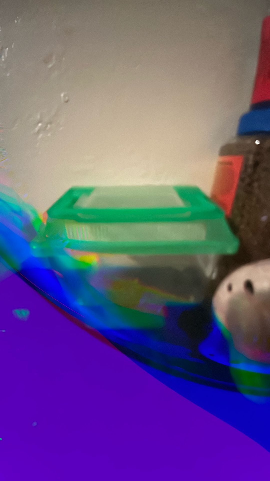 Turtle Tank