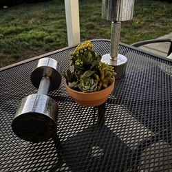 1 Pair - 10 lb weights