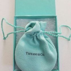 Tiffany & Co - Collar Stay - New
