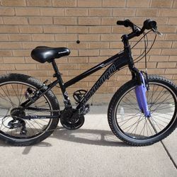 Schwinn Sidewinder (fits small adult)