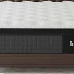 2 Twin Size Mattresses