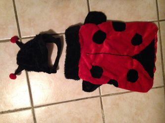 Lady Bug Dog Costume