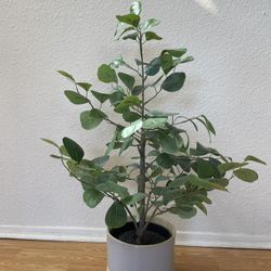 Artificial Potted Plants (see description)