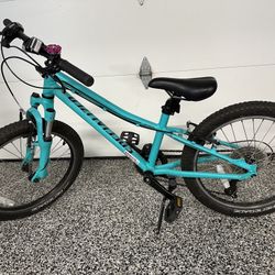 Specialized Hotrock 20 (Kids mountain/trail bike)