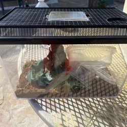  Terrarium  / Insect Or Reptile Enclosure 