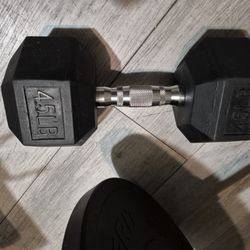 45lb Dumbbells 1pair