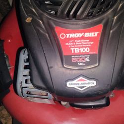Troy Bilt TB100
