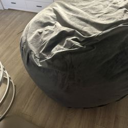 Bean Bag Brand New