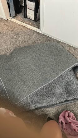 Big Rug