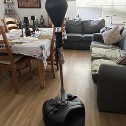 Boxing Bag Come Get It Today 