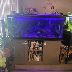 75 Gallon Fish Tank Aquarium With Stand 