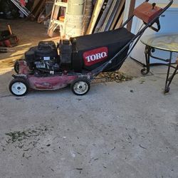 Lawn Moore toro