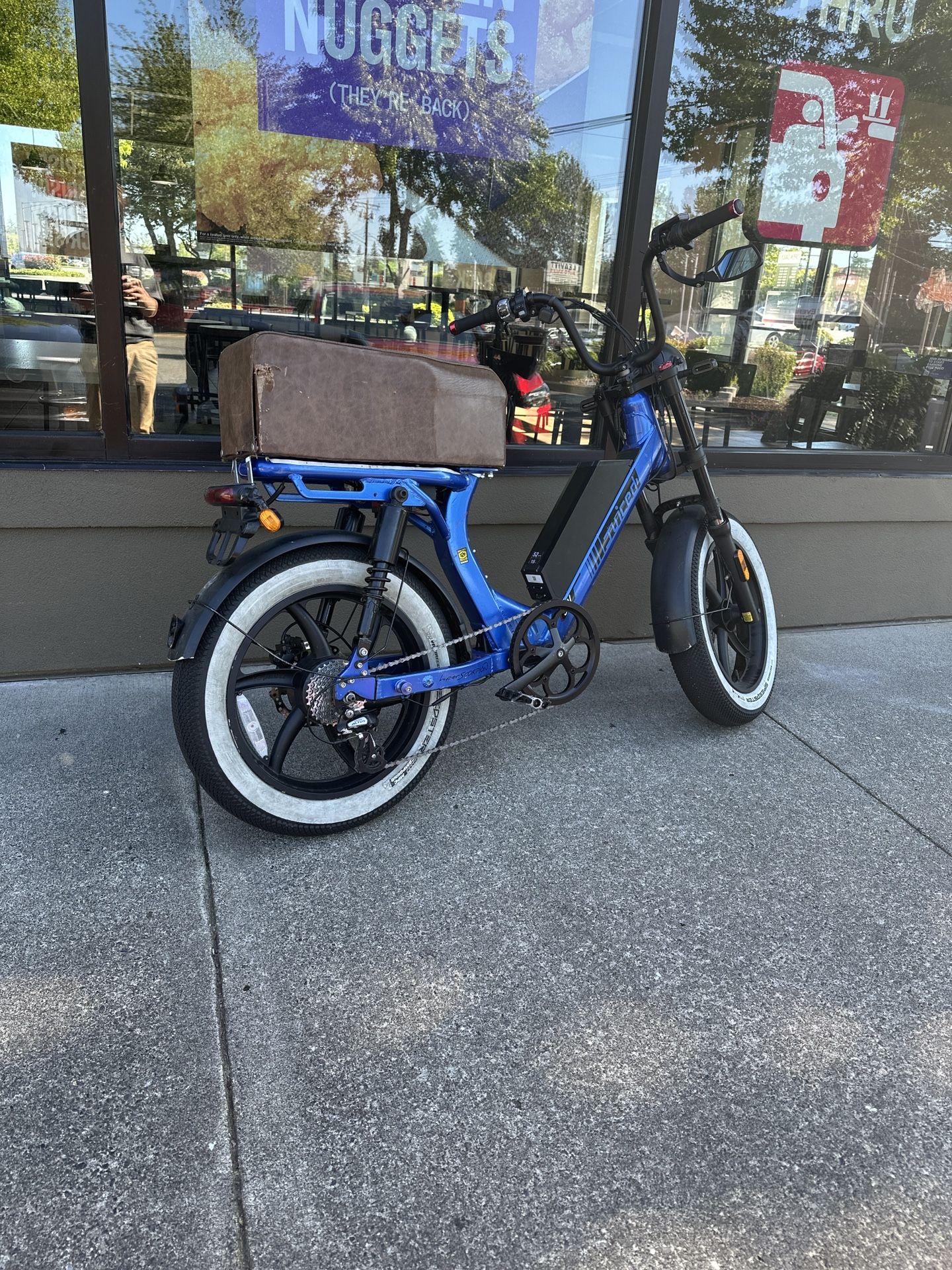 Dual Battery E-bike