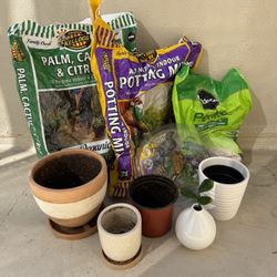 Plants Starter Kit | Assorted Pots, Soil, Live Plant