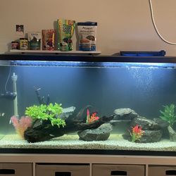 55 Gallon Fish Tank