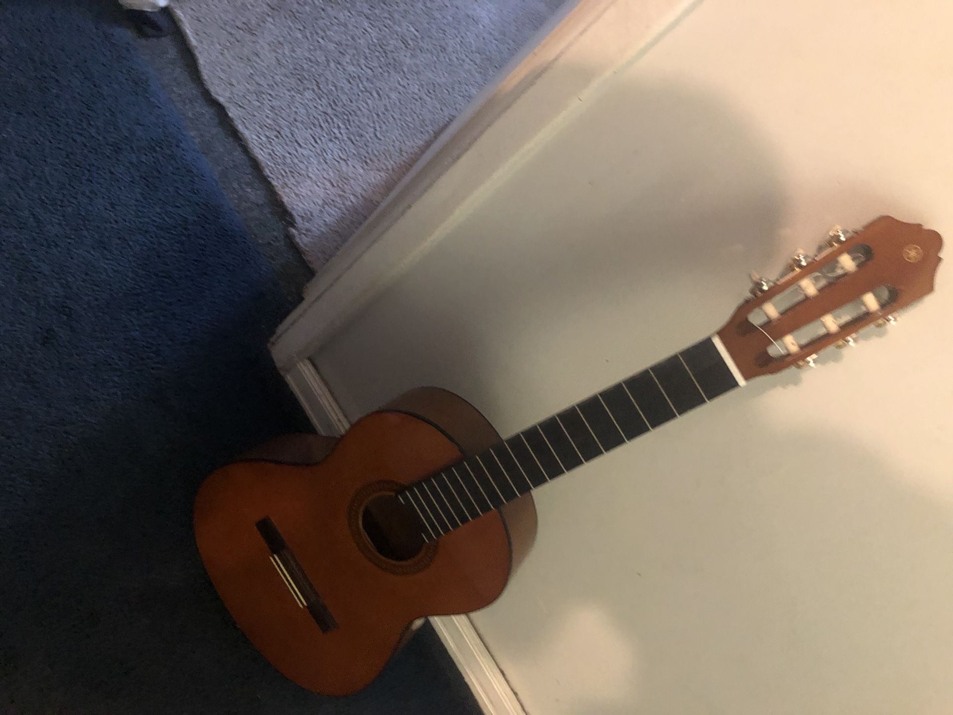 Guitar