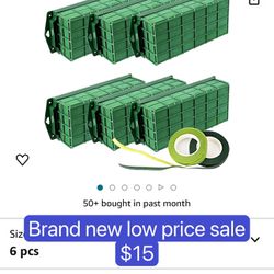 Floral Foam Cage 6 Pack, Dry Flower Cage Holders, Green Foam Cage Blocks for Fresh Flower Arrangements Decoration, Wedding, Interior and Garden