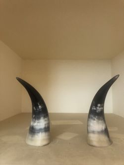 Two-Piece Drinking Bovine Horn 7" long