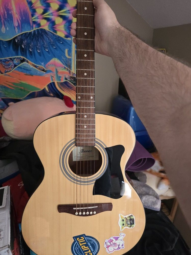 Acoustic Guitar