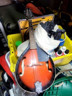 Stagg Mandolin