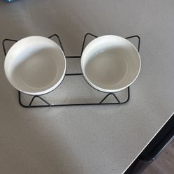 Tilted Cat Bowls
