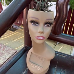 Succulent plant with head pot