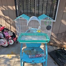Bird Cage