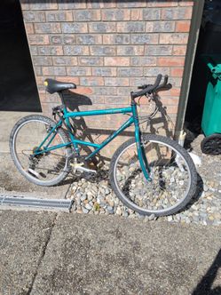 FS Elite ESD 6000 Mountain Bike
