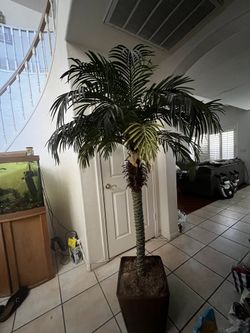 Silk / Artificial Palm Tree