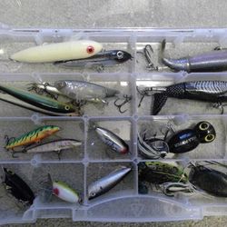 Topwater Fishing Lures