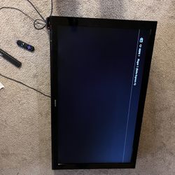 50in TV, HDMI 