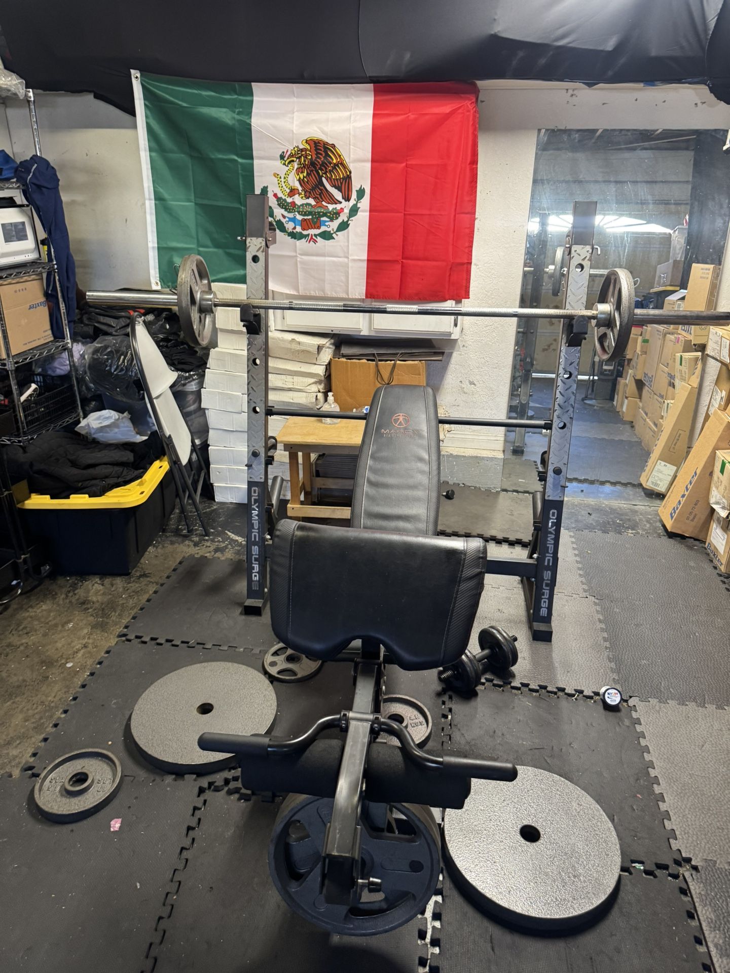 Bench Press Rack & Curls