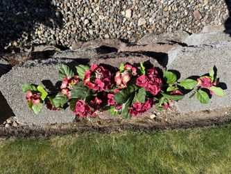 Artificial Hydrangea Garland