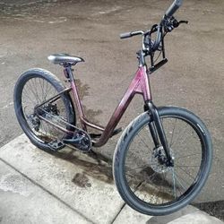 Specialized Roll 2.0 low