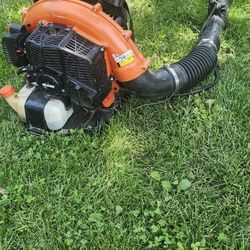 Echo Backpack Blower