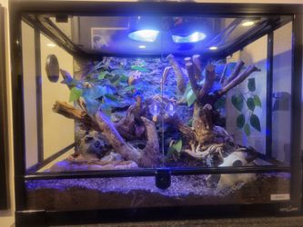 Exoterra terrarium