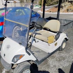 2009 Yamaha Gas Golf Cart 