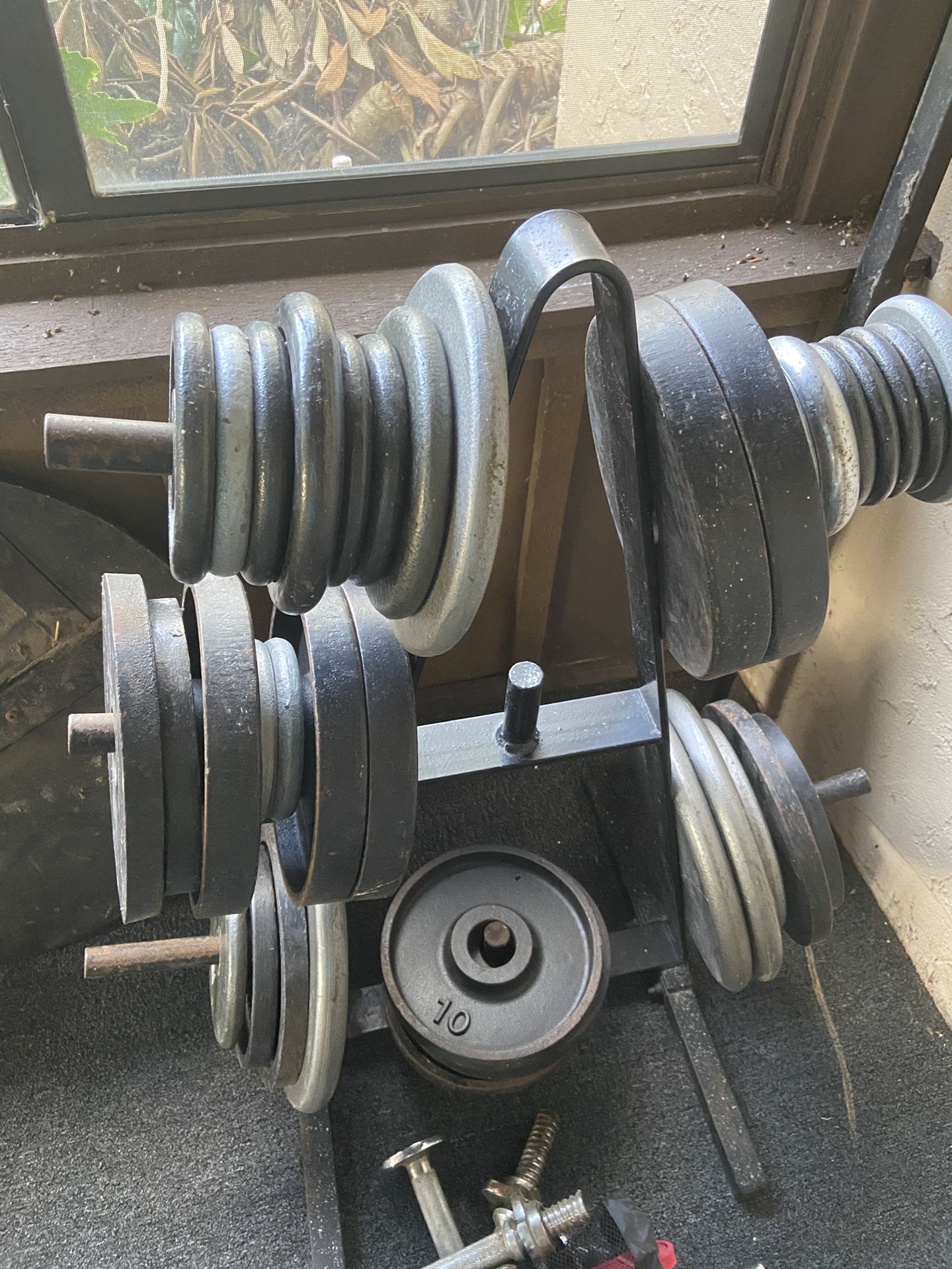 Free Weights for sale for Sale in Plant City, FL OfferUp