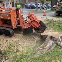 Grinding Stump