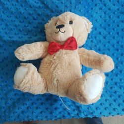 Plush Teddy Bear