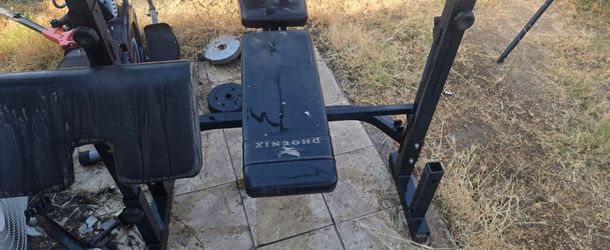 Weights and  bench