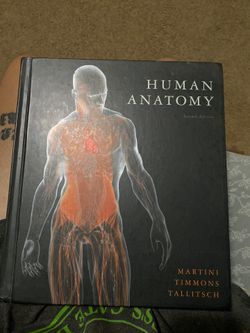 HUMAN ANATOMY ( Martini, Timmons, Tallitsch)