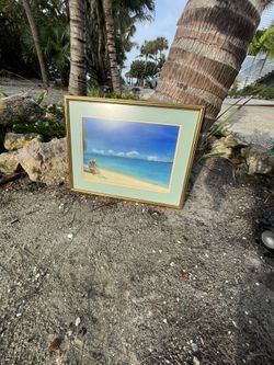 Paintings/pictures In Frames