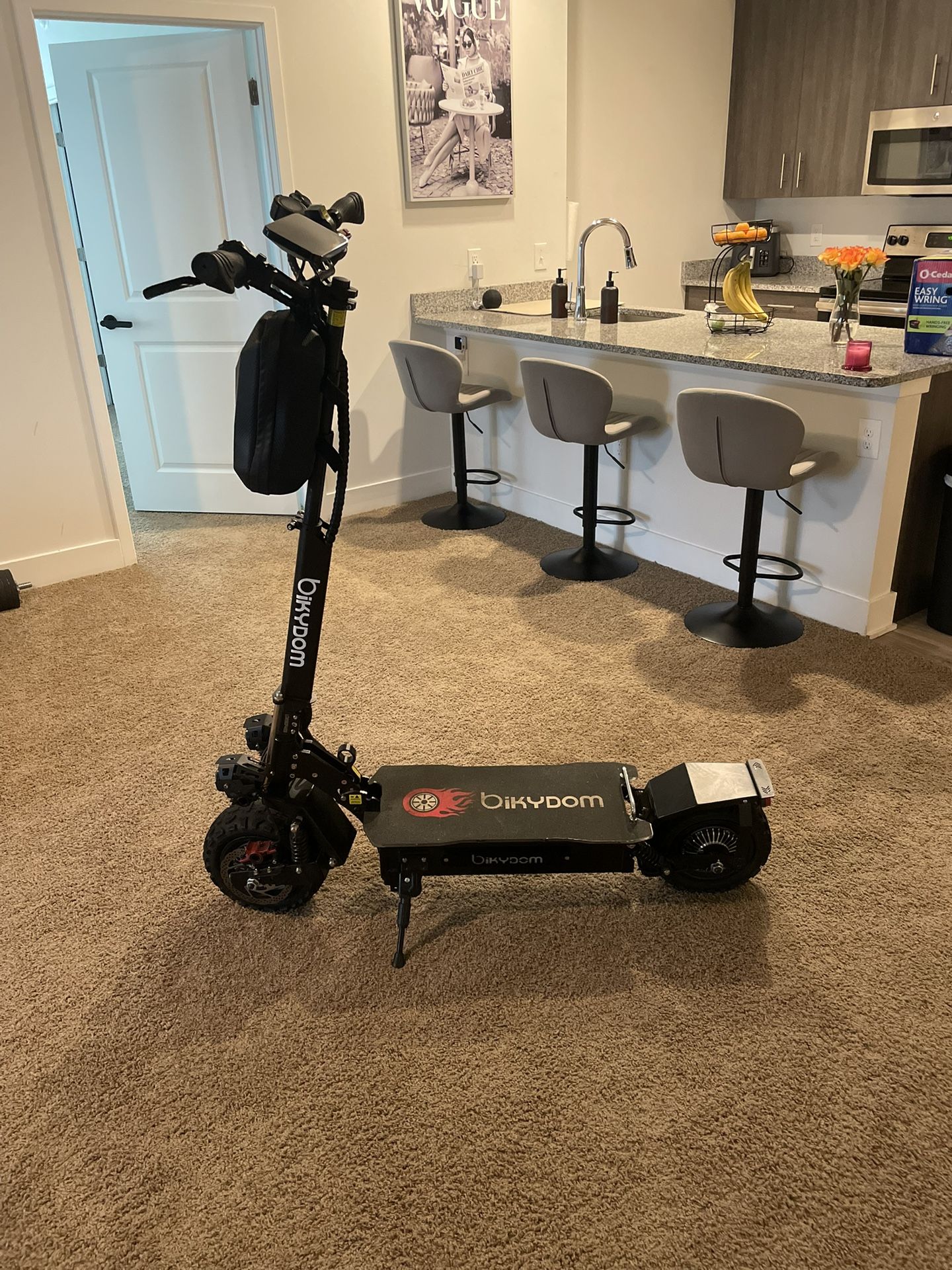 Electric Scooter 