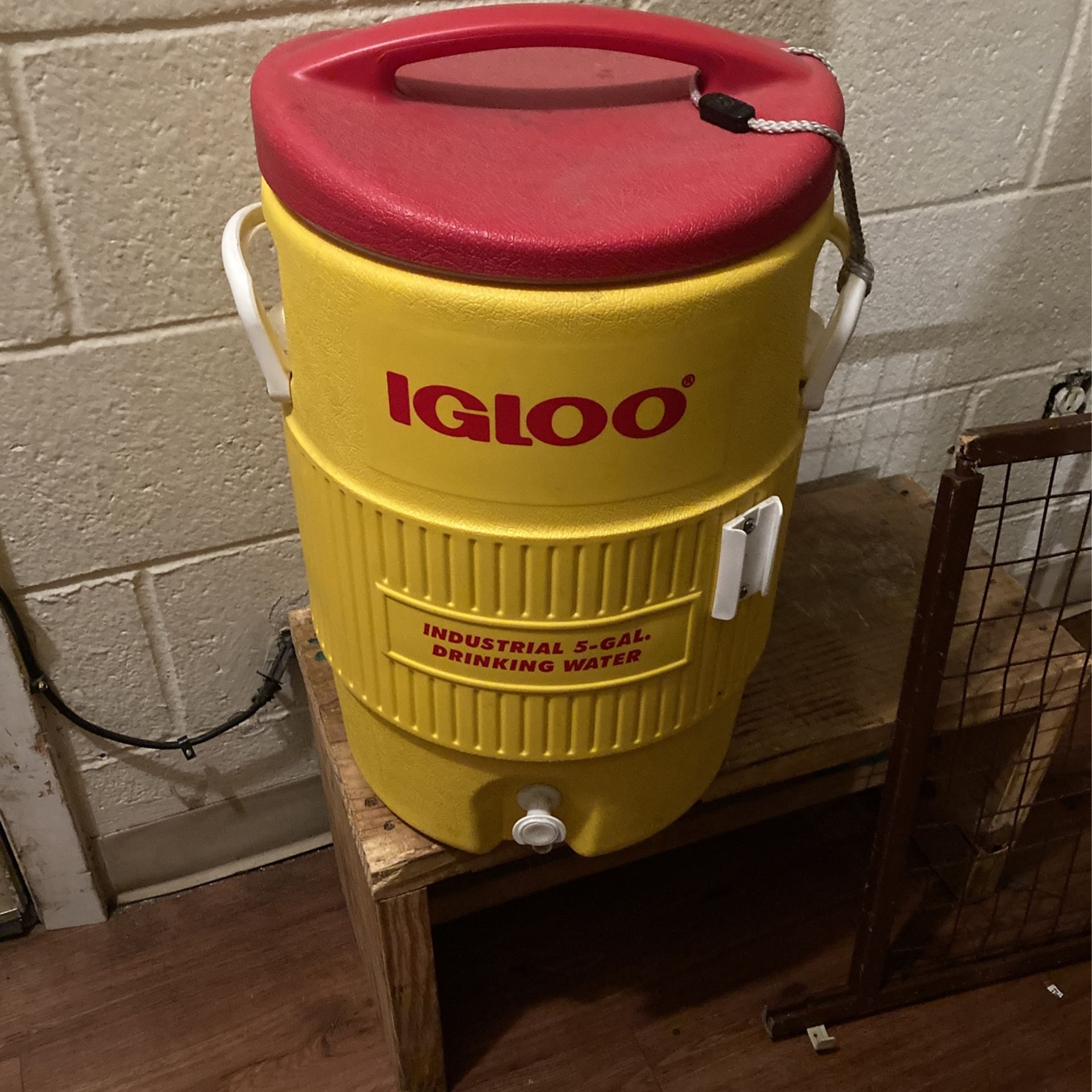 Good  IGLOO Ice Cooler 