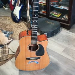 Acoustic Electric Carlos 1960