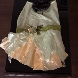 Costume Disney Pet Costume  Tails Tiana Princess & the Frog dog xl
