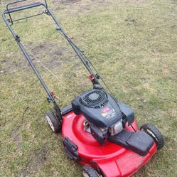Lawnmowers And Snowblowers For Sale