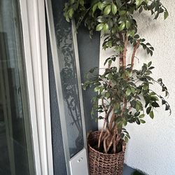 new dog door, never used.