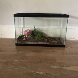 Rectangular Fish Tank Includes Everything You See